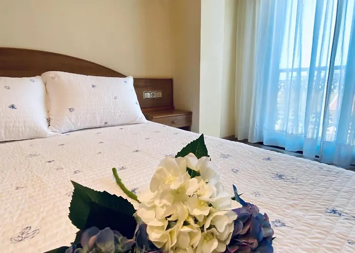 Duerming Areas Playa 桑亨霍